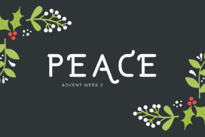 Peace – Advent Week 2