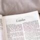 Review of Exodus 22:19-31