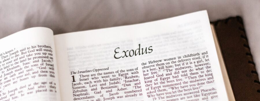 Review of Exodus 22:19-31